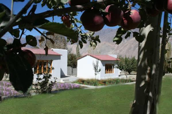 Himalayan Eco Resort Hundar المظهر الخارجي الصورة