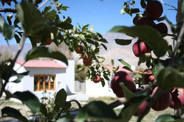Himalayan Eco Resort Hundar المظهر الخارجي الصورة
