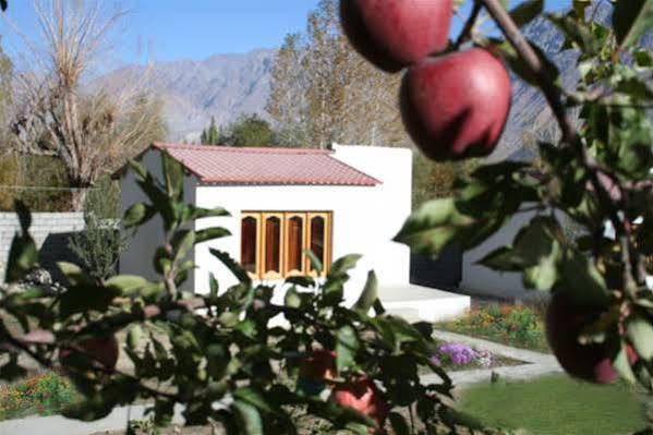 Himalayan Eco Resort Hundar المظهر الخارجي الصورة